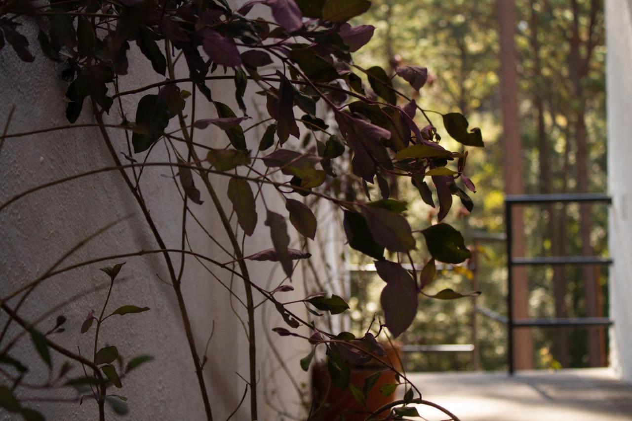 Encino House Villa Valle de Bravo Ngoại thất bức ảnh